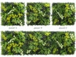 Waterkers flora plantenwand geen patroon