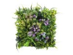 Allium purple flora plantenwand