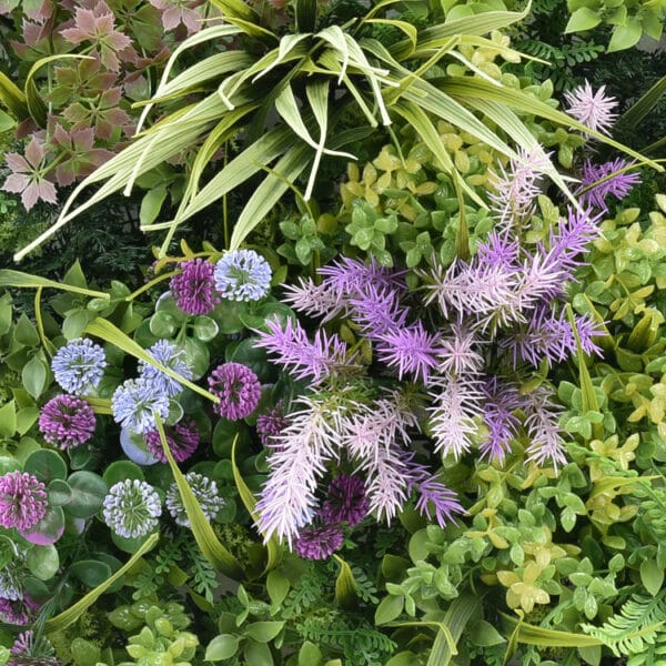 Allium purple flora plantenwand detail