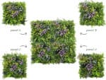 Allium purple flora plantenwand geen patroon